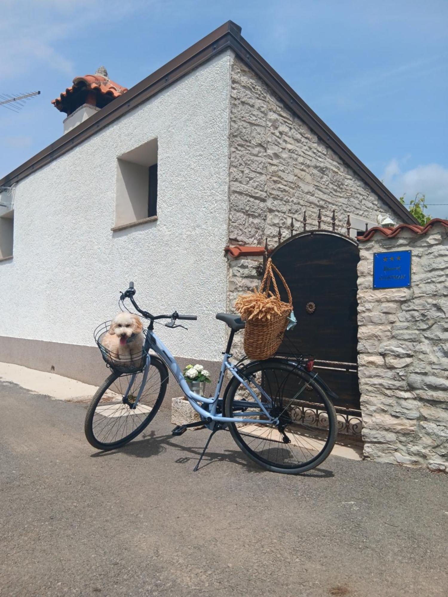 Authentic Istria&Pet Friendly Apartment Banko Near Rovinj Kanfanar Eksteriør bilde