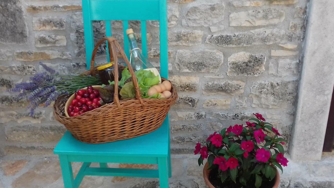 Authentic Istria&Pet Friendly Apartment Banko Near Rovinj Kanfanar Eksteriør bilde