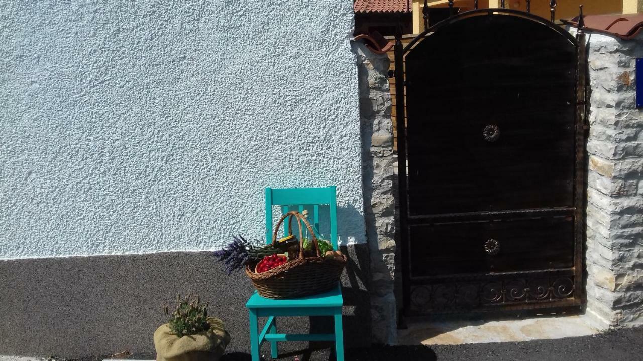 Authentic Istria&Pet Friendly Apartment Banko Near Rovinj Kanfanar Eksteriør bilde